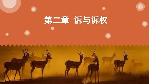 第二章  诉与诉权