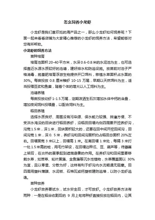 怎么饲养小龙虾