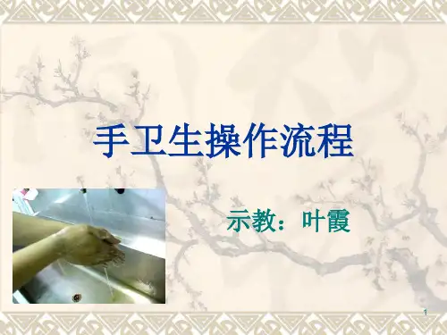手卫生操作流程PPT演示课件