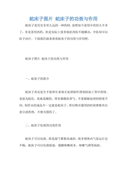 蛇床子图片 蛇床子的功效与作用