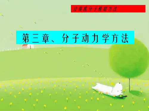 《分子动力学》PPT幻灯片PPT