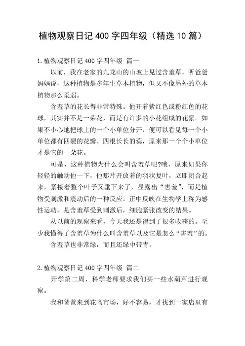植物观察日记400字四年级(精选10篇)