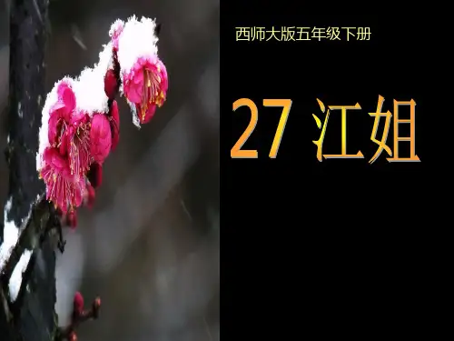 西南师大版五年级语文下册《七单元  27 江姐》课件_21