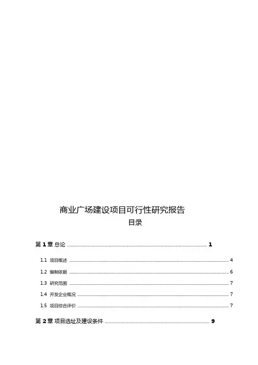 商业广场建设项目可行性研究报告