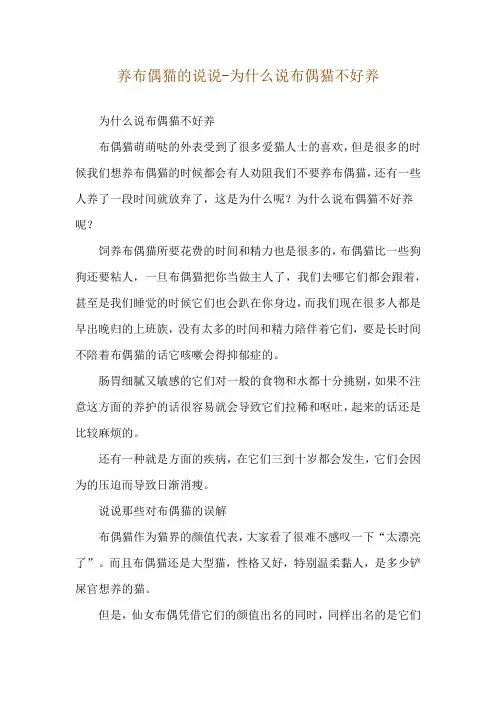 养布偶猫的说说-为什么说布偶猫不好养