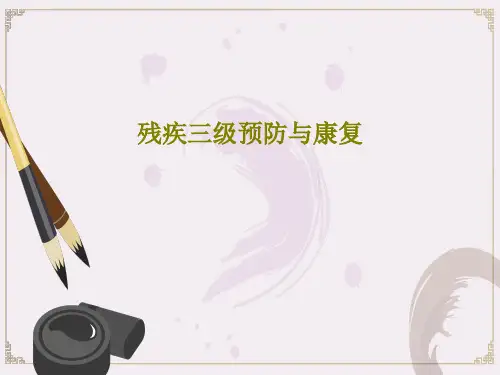 残疾三级预防与康复39页PPT