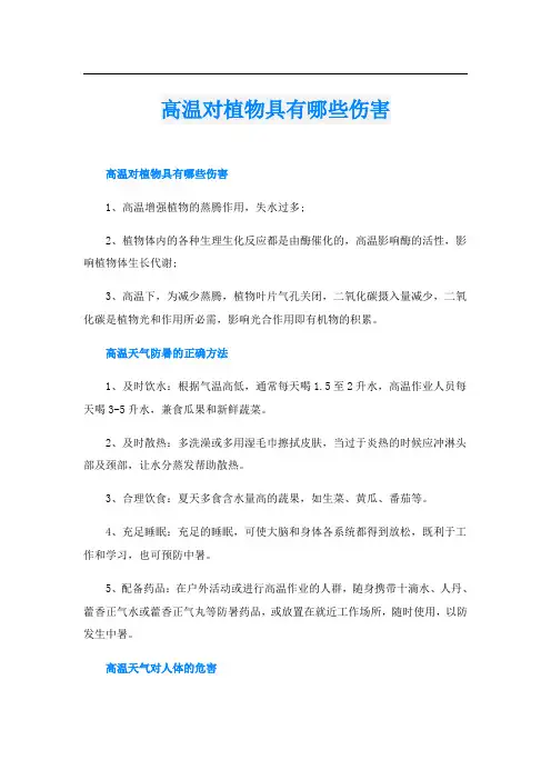 高温对植物具有哪些伤害