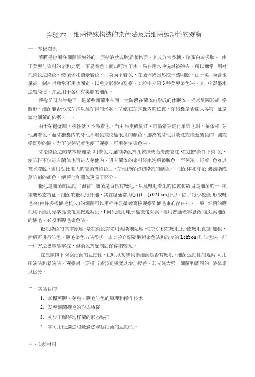 水产微生物实验—细菌特殊构造的染色法及活细菌运动性的观察(教案).docx