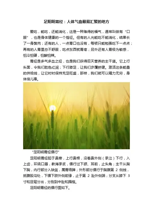 足阳明胃经：人体气血最易汇聚的地方