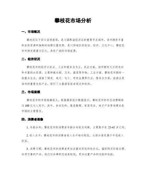 攀枝花市场分析