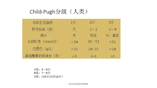 肝child分级及常见指标课件