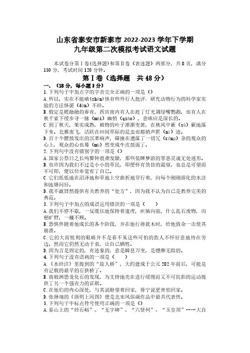 山东省泰安市新泰市2022-2023学年九年级下学期二模语文试题(含答案)