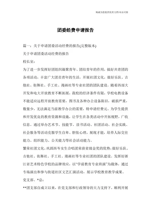 团委经费申请报告