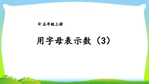 第3课时 用字母表示数(3)