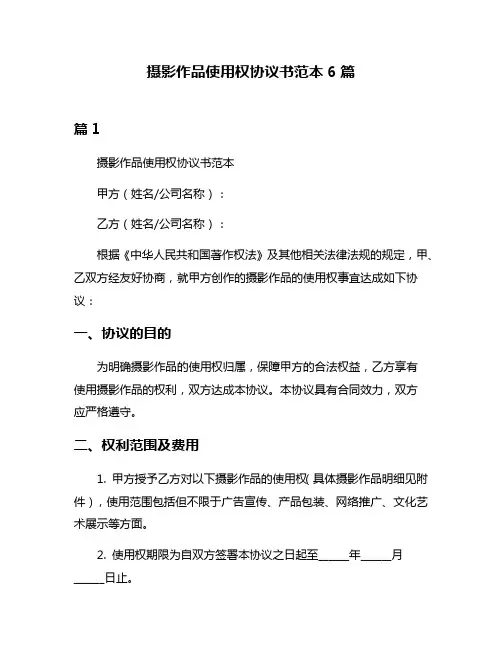 摄影作品使用权协议书范本6篇