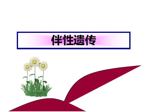 最新高三一轮复习：伴性遗传省公开课获奖课件说课比赛一等奖课件