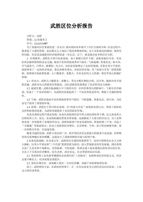 武胜区位分析报告