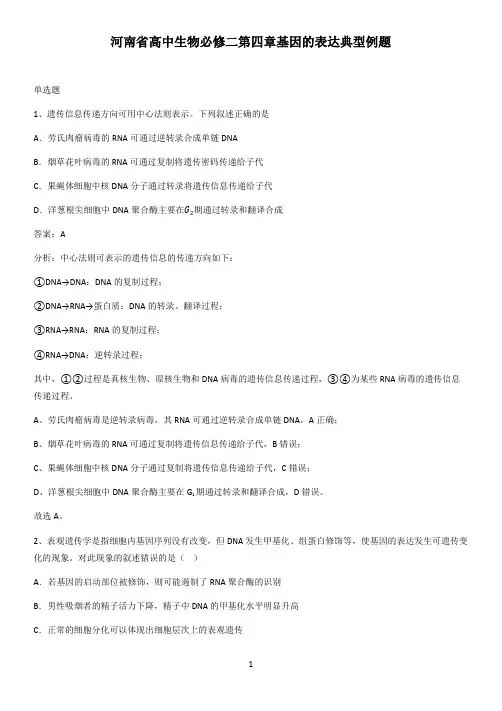 河南省高中生物必修二第四章基因的表达典型例题
