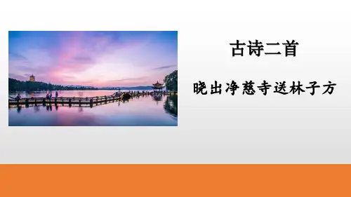 《晓出净慈寺送林子方》语文教学PPT课件(3篇)