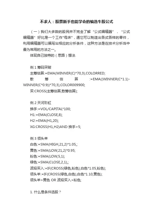 不求人：股票新手也能学会的编选牛股公式