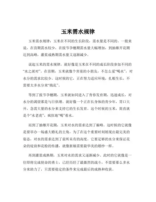 玉米需水规律