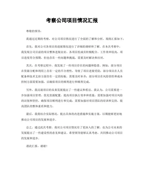 考察公司项目情况汇报