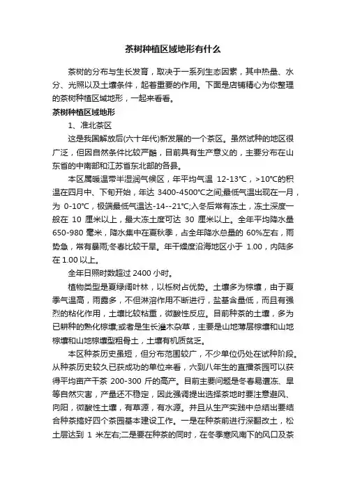 茶树种植区域地形有什么