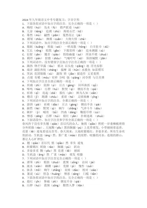 2024年九年级语文中考专题复习：字音字形(含解析)