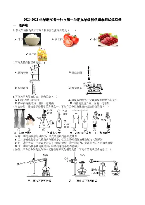 浙江省宁波市2020-2021学年第一学期九年级科学期末测试模拟卷