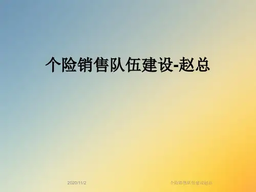 个险销售队伍建设赵总