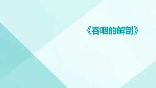 (医学课件)吞咽的解剖