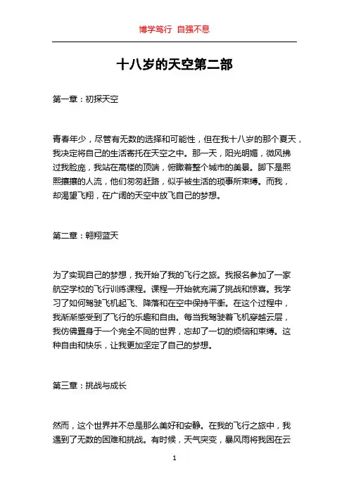 十八岁的天空第二部