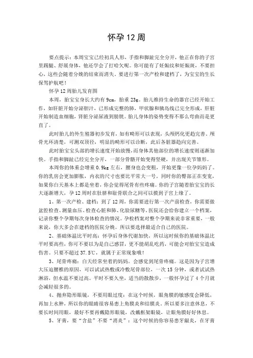 怀孕12周
