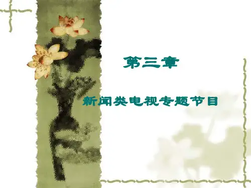 第三章 新闻类电视专题节目