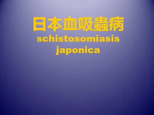 【传染病学】日本血吸虫病
