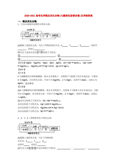 2020-2021高考化学镁及其化合物(大题培优易错试卷)及详细答案