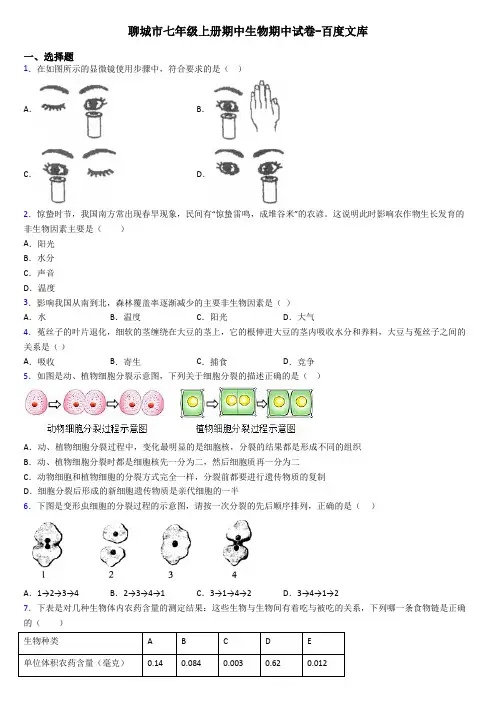 聊城市七年级上册期中生物期中试卷-百度文库