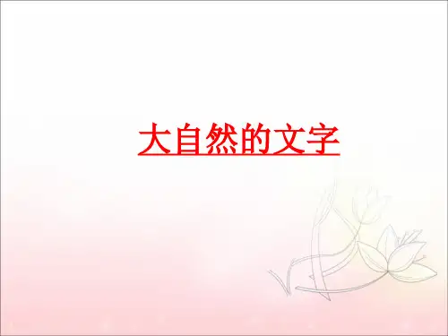 六年级上册语文课件第七单元大自然的文字∣苏教版 (共24张PPT)