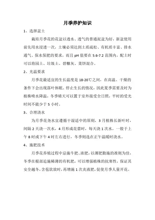 月季养护知识