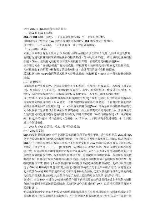 比较DNA与RNA的功能结构的异同