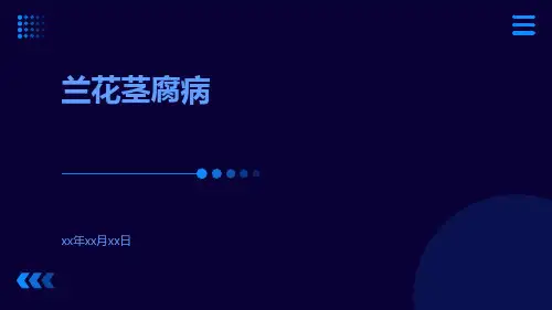 兰花茎腐病(图片)