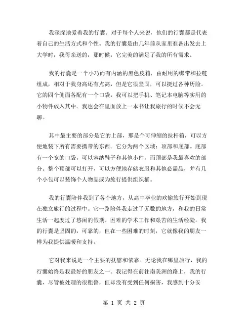 我的行囊作文范文