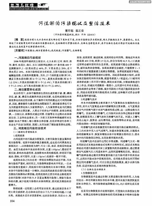 河流湖泊污染现状及整治技术