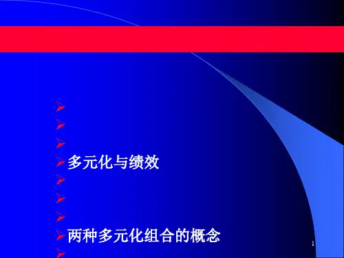公司层战略(ppt 78页)