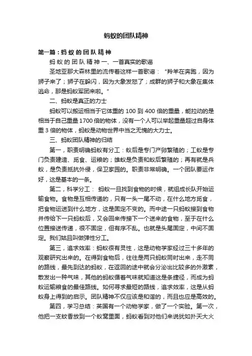 蚂蚁的团队精神