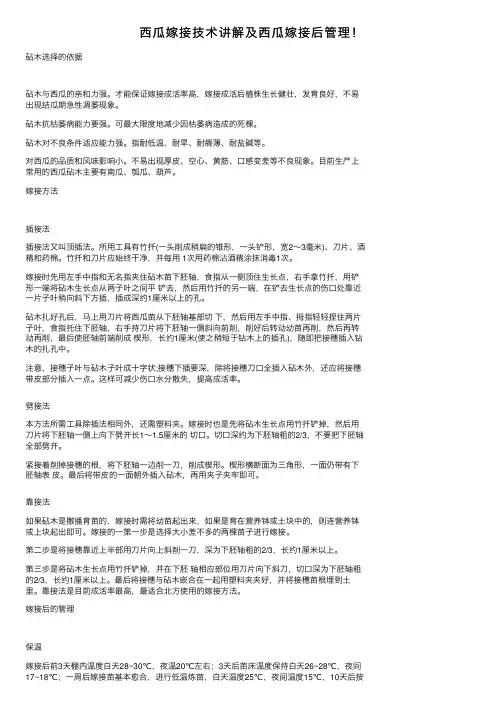 西瓜嫁接技术讲解及西瓜嫁接后管理！