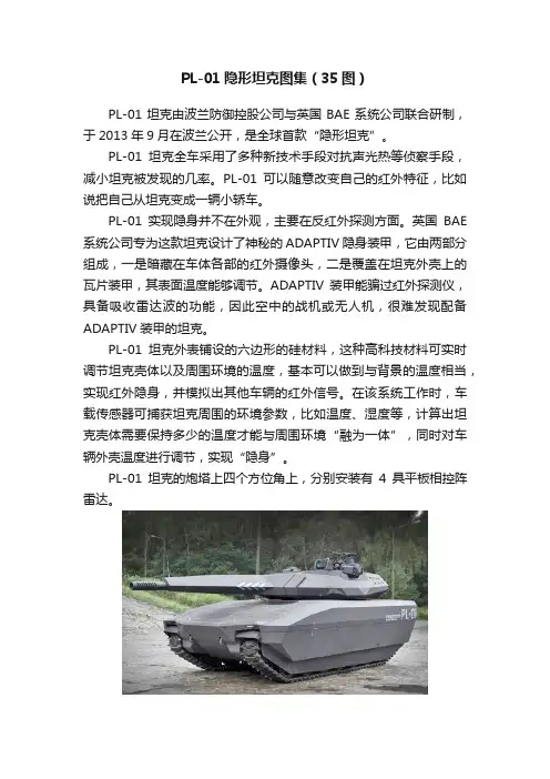 PL-01隐形坦克图集（35图）