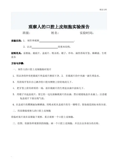 观察人的口腔上皮细胞实验报告