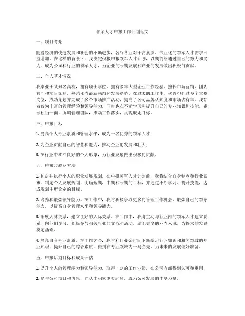 领军人才申报工作计划范文