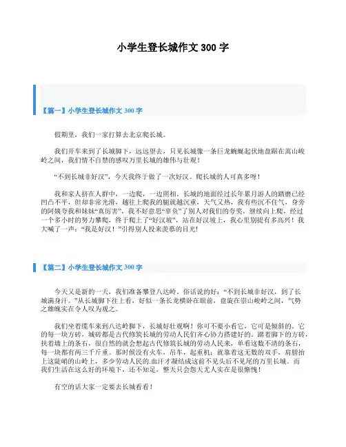 小学生登长城作文300字